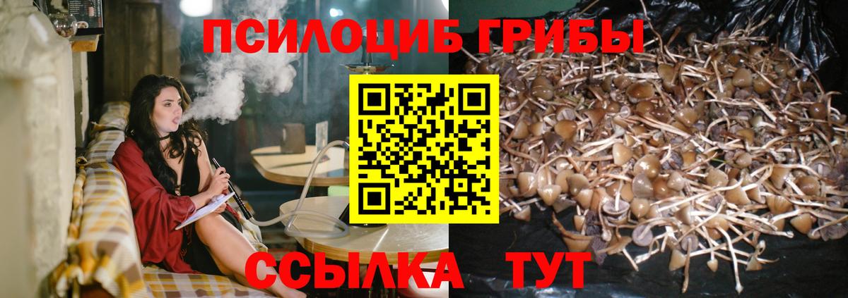 Менделеевск  Галлюциногенные грибы мицелий  Вход с VPN 
